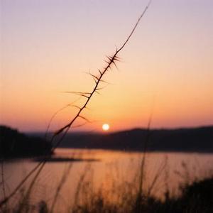 我也害怕死在爱里面