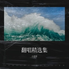 谁料皇榜中状元  女驸马  黄梅戏