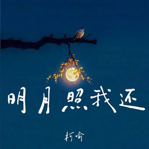 明月照我还