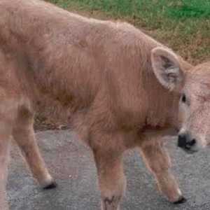 6666666666666666666666666666666666666666666666666666666666666666666666666666666666666666666666666666666666