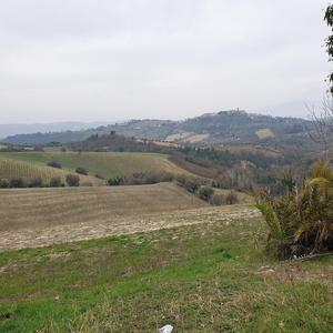 Il gradino piu alto