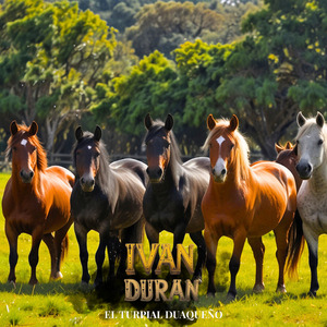 Oriente Tierra Caliente