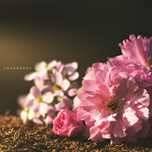 나의 마음을 감싸주는