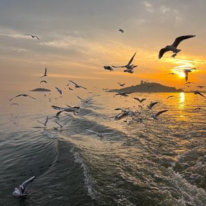 忘记那片海-我想念那个不下雪的冬天v1（忘记那片海 remix）