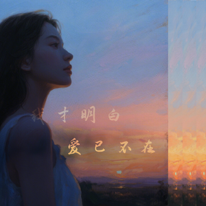 我才明白 爱已不在