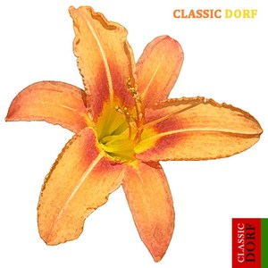 Rachmaninov: Prelude in C-Sharp minor Op.3, No.2