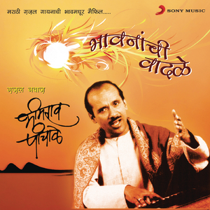 Karu Naye Te Karto Aahe