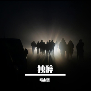 做就做一只特立独行的猪