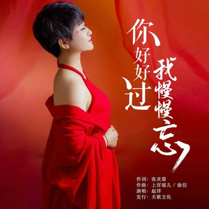 你好好过我慢慢忘 (live合唱版)