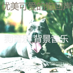 有趣幼犬情怀