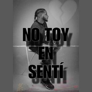 NO TOY EN SENTI