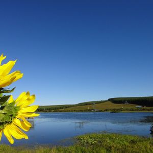 凌晨一点的星星