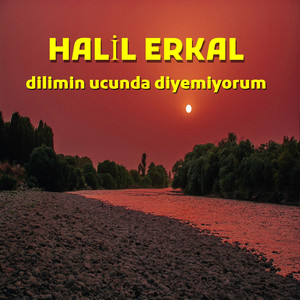 Dilimin Ucunda Diyemiyorum