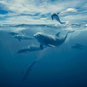 古琴曲潇湘水云