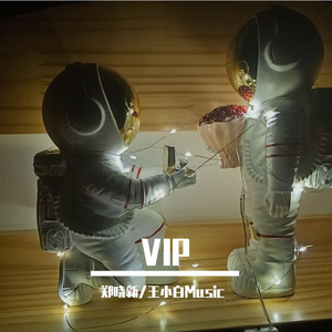 VIP