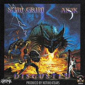 Disgusted (feat. Ak3k)