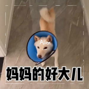 妈妈的好大儿.