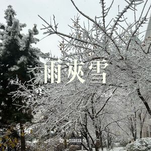 雨夹雪