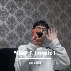 曲生-当你走了（cure男孩 remix）