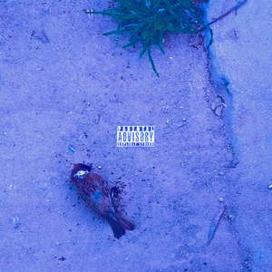 指路牌[Prod By Ro6o]