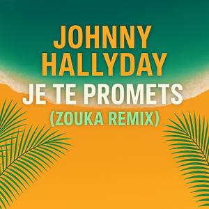 Je te promets (Zouka Remix)
