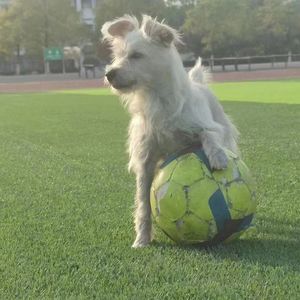 Digital Heartbeat‘