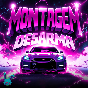 MONTAGEM DESARMA