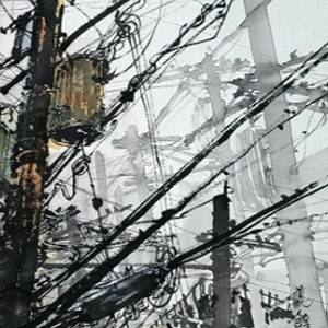 сгрыз все провода