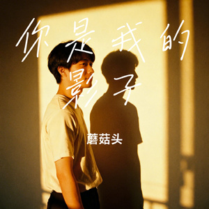 你是我的影子