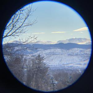 IN THE FEELS (feat. Steady Flow)