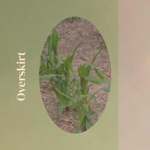 Flawlessly Blemished