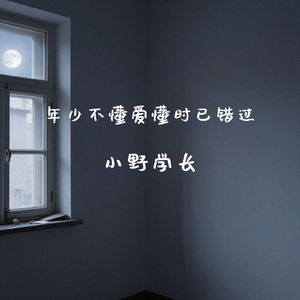 年少不懂爱懂时已错过