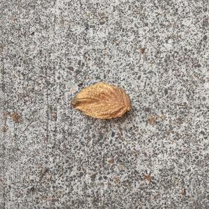 this other beat 21.12.22 12:35pm