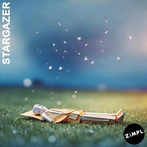 Stargazer