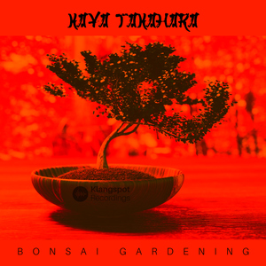 Bonsai Gardening