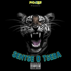 Sentse O Tseba