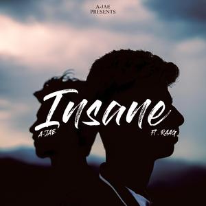 Insane (feat. RAAG)