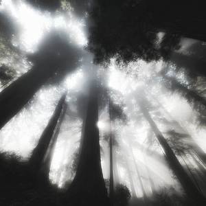 ss (Instrumental Slowed)