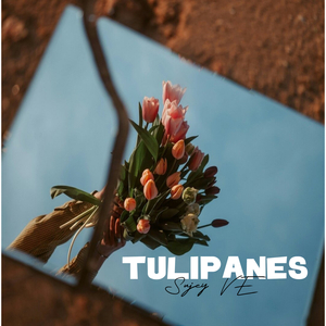 Tulipanes