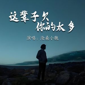 这辈子欠你的太多