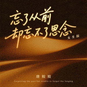 忘了从前却忘不了思念（女生版）