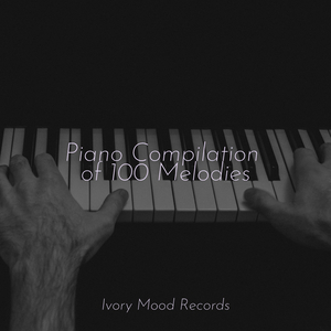 Blissful Paradise Voyage