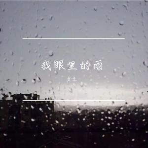 我眼里的雨（已淋不到你）