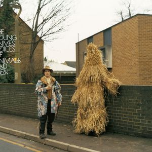 Here Comes the Rumour Mill