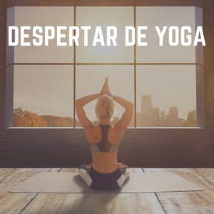 Apacibilidad de la Esencia