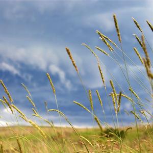 one summer's dayあの夏へ（钢琴版）