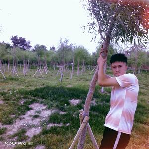 群星-西游记(DJADELEM Remix)（XjADELEM remix）