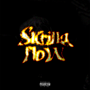 Skrilla Flow
