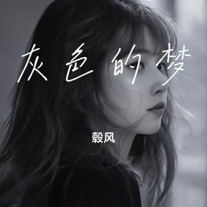 灰色的梦