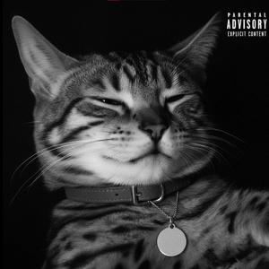 KITTY SWAG